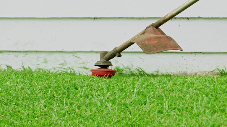 Organic Lawn Care Solutions in Mulberry, NC